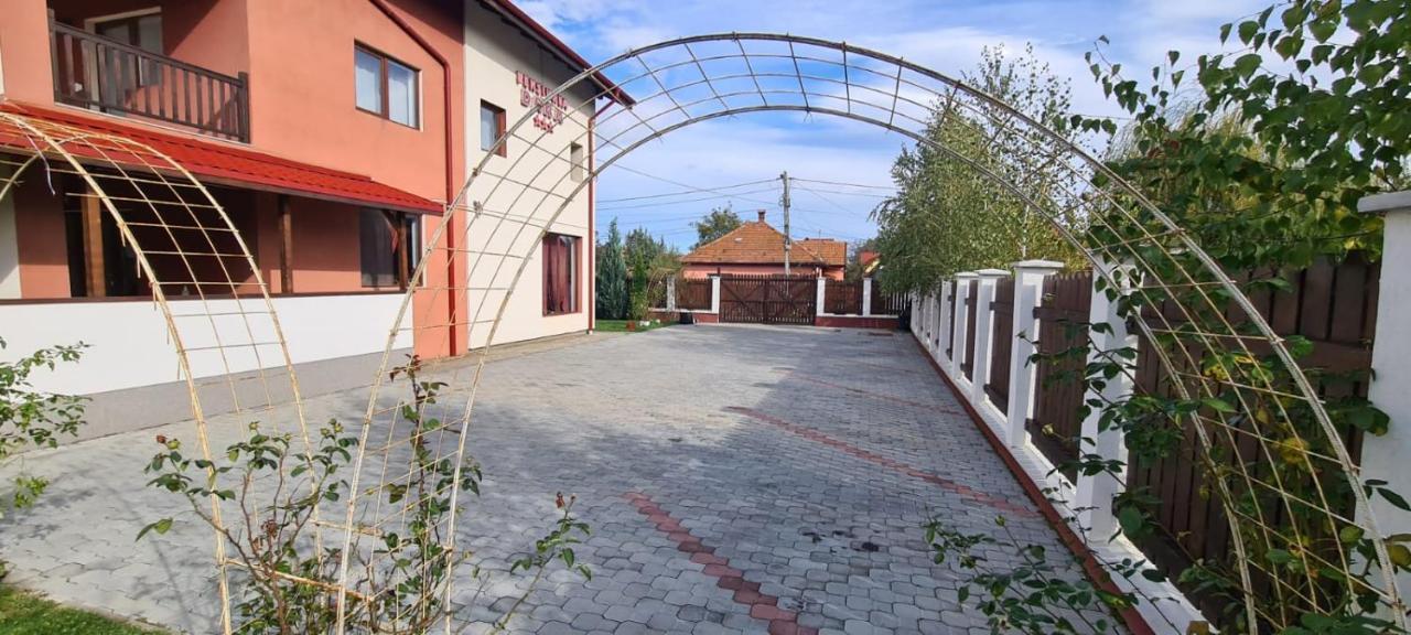 Pensiunea Dara Râşnov Exterior photo