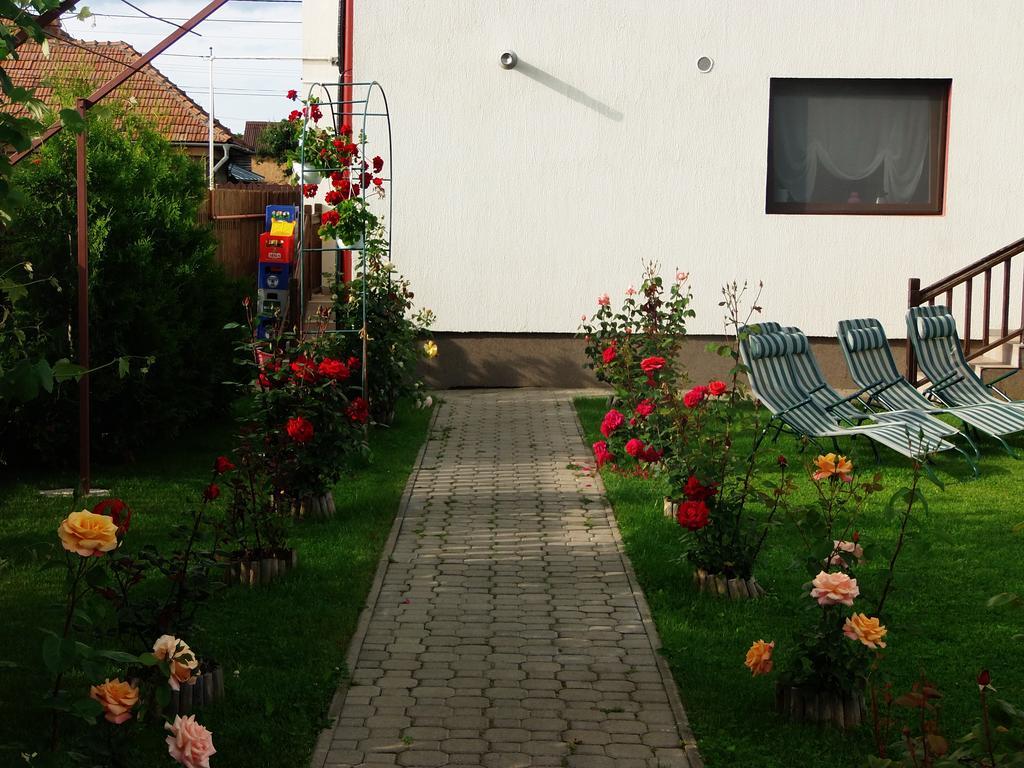 Pensiunea Dara Râşnov Exterior photo